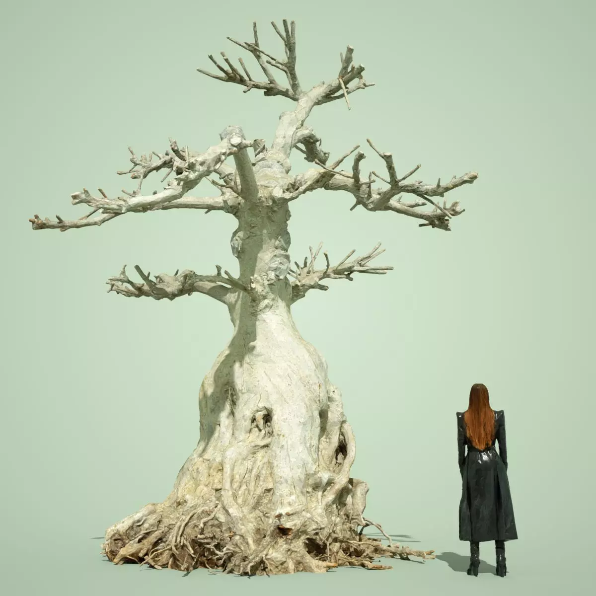 Dead Bonsai Tree 7 Low-poly 3D model_0