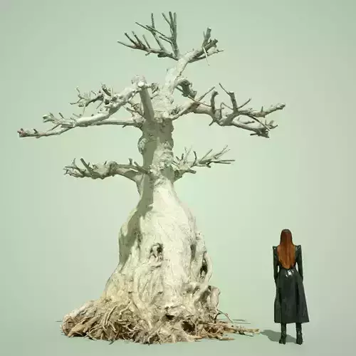 Dead Bonsai Tree 7 Low-poly 3D model