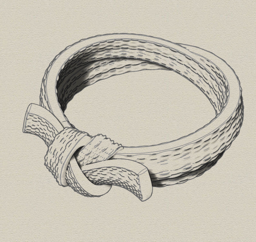 Karate Belt Ring  9s 3D print model_1