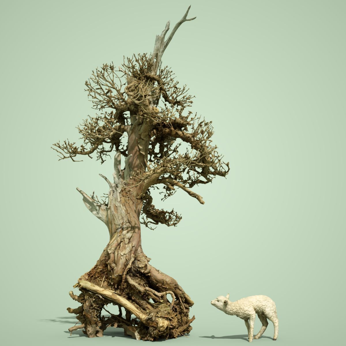 Dead Tree Collection Low-poly 3D model_4