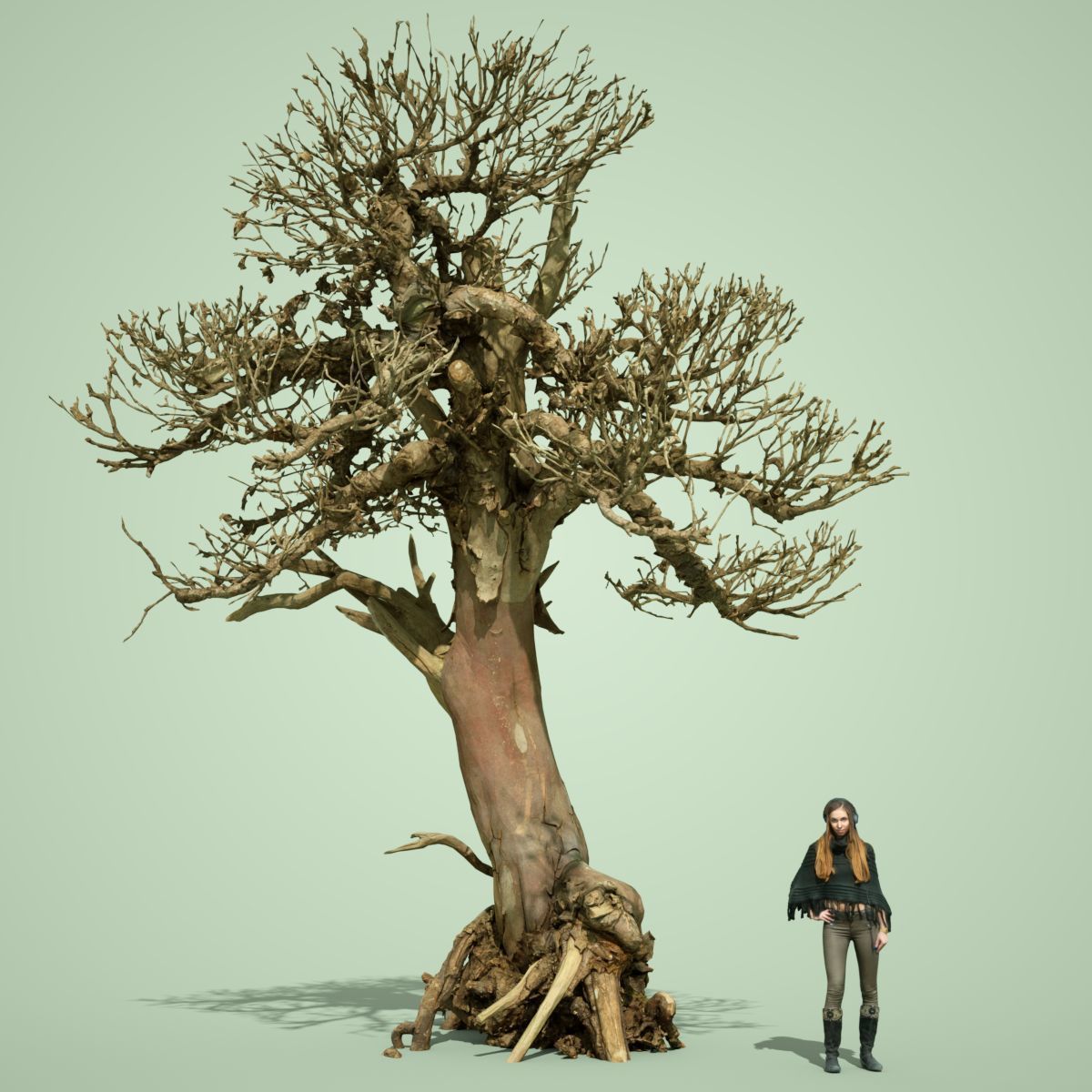 Dead Tree Collection Low-poly 3D model_32