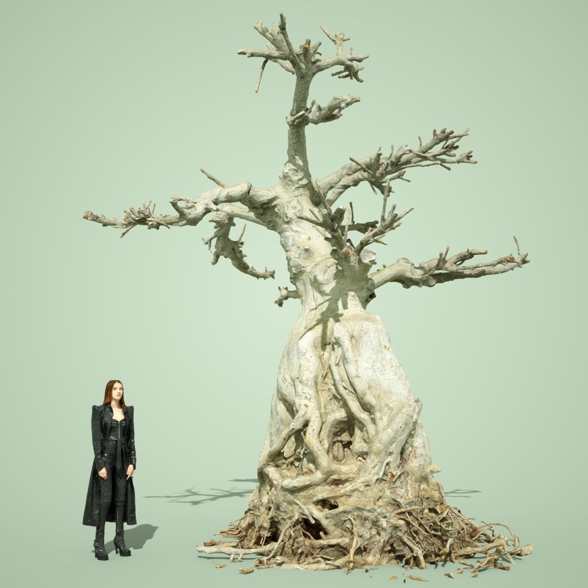Dead Tree Collection Low-poly 3D model_14