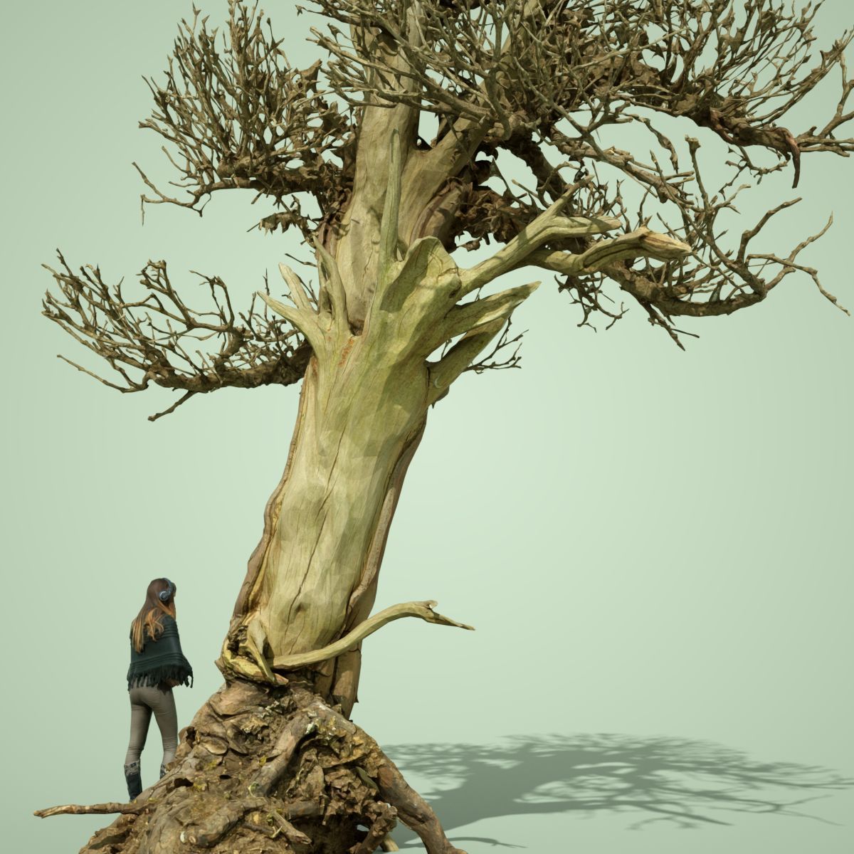 Dead Tree Collection Low-poly 3D model_36