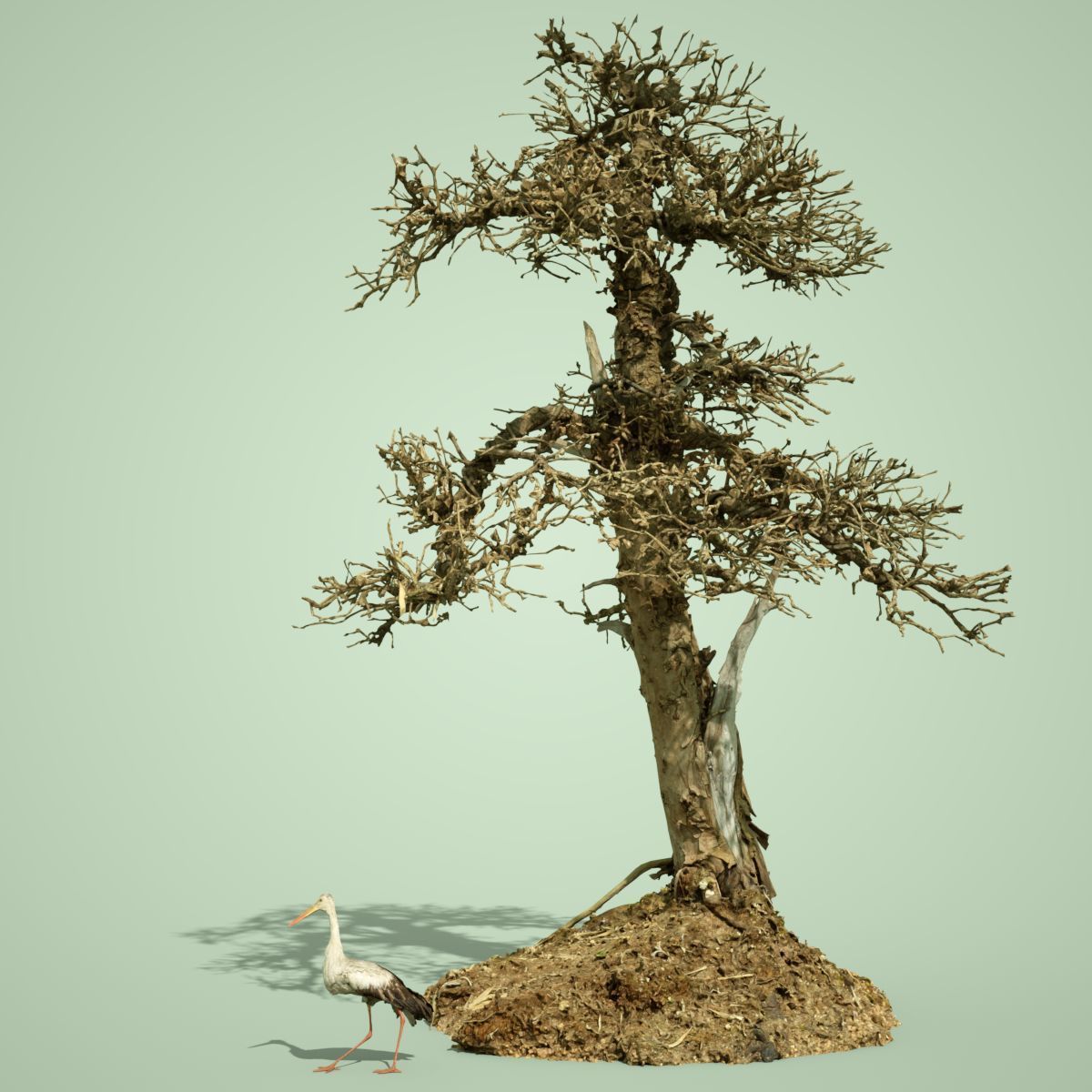 Dead Tree Collection Low-poly 3D model_45