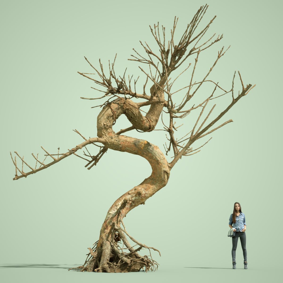Dead Tree Collection Low-poly 3D model_19