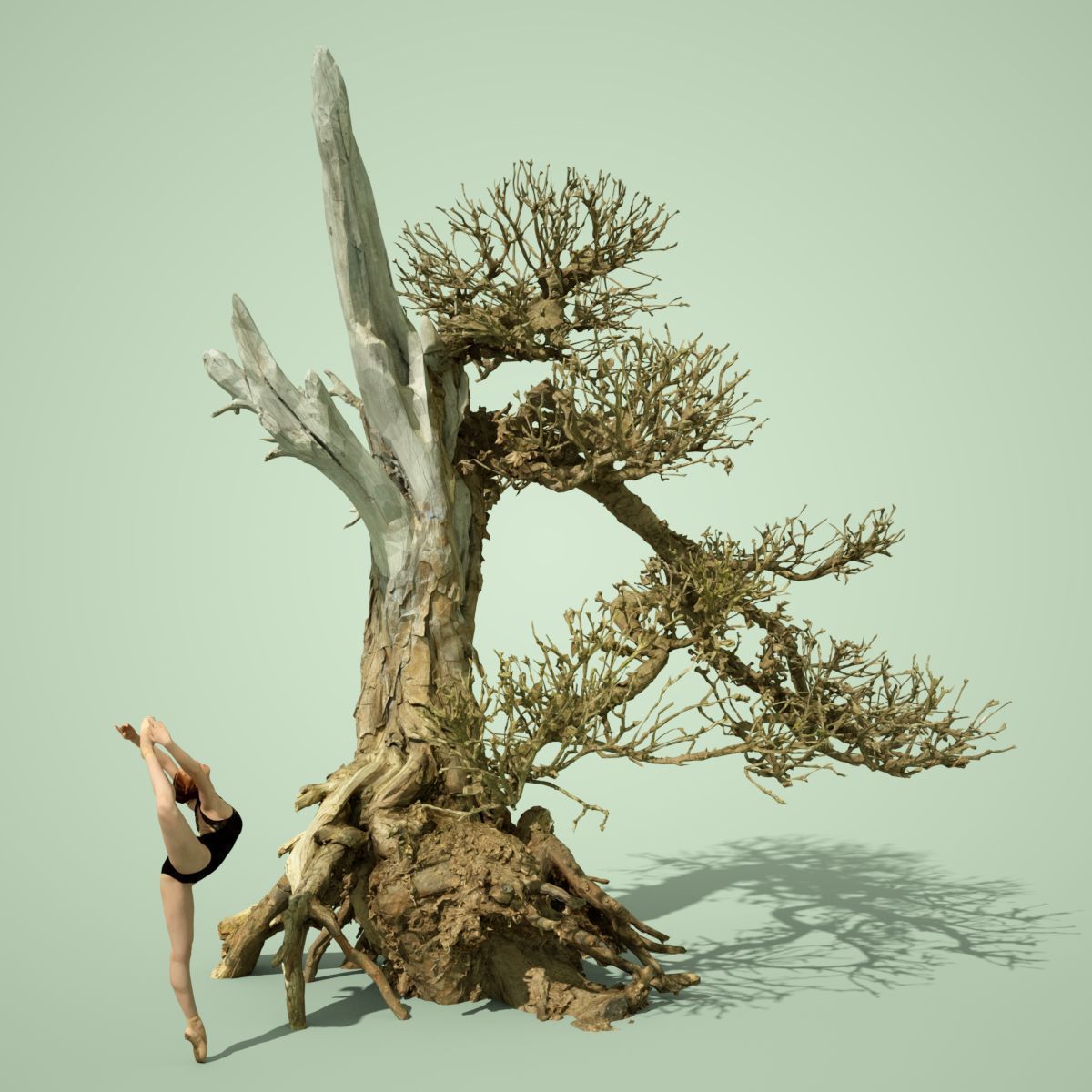 Dead Tree Collection Low-poly 3D model_37