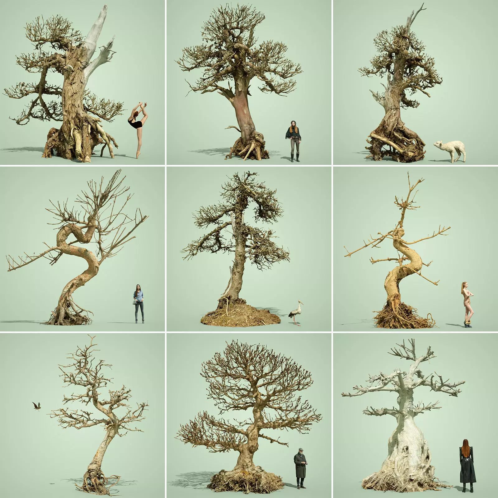 Dead Tree Collection Low-poly 3D model_0