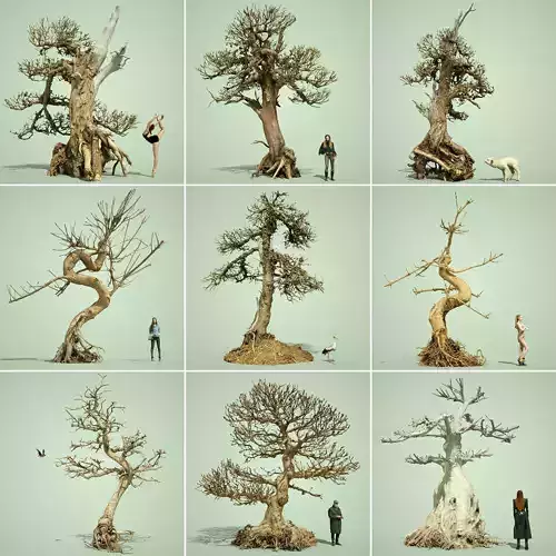 Dead Tree Collection Low-poly 3D model