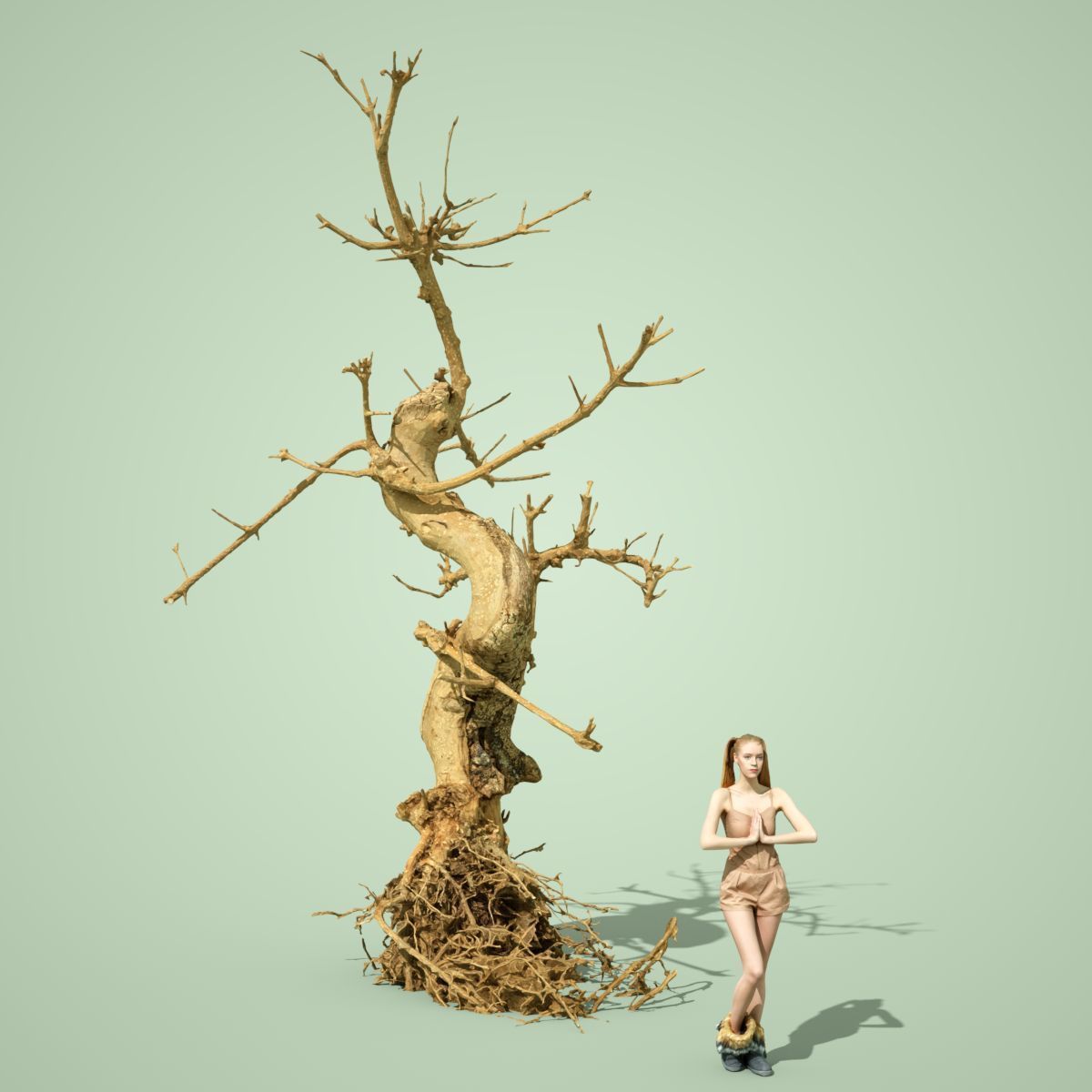 Dead Tree Collection Low-poly 3D model_13