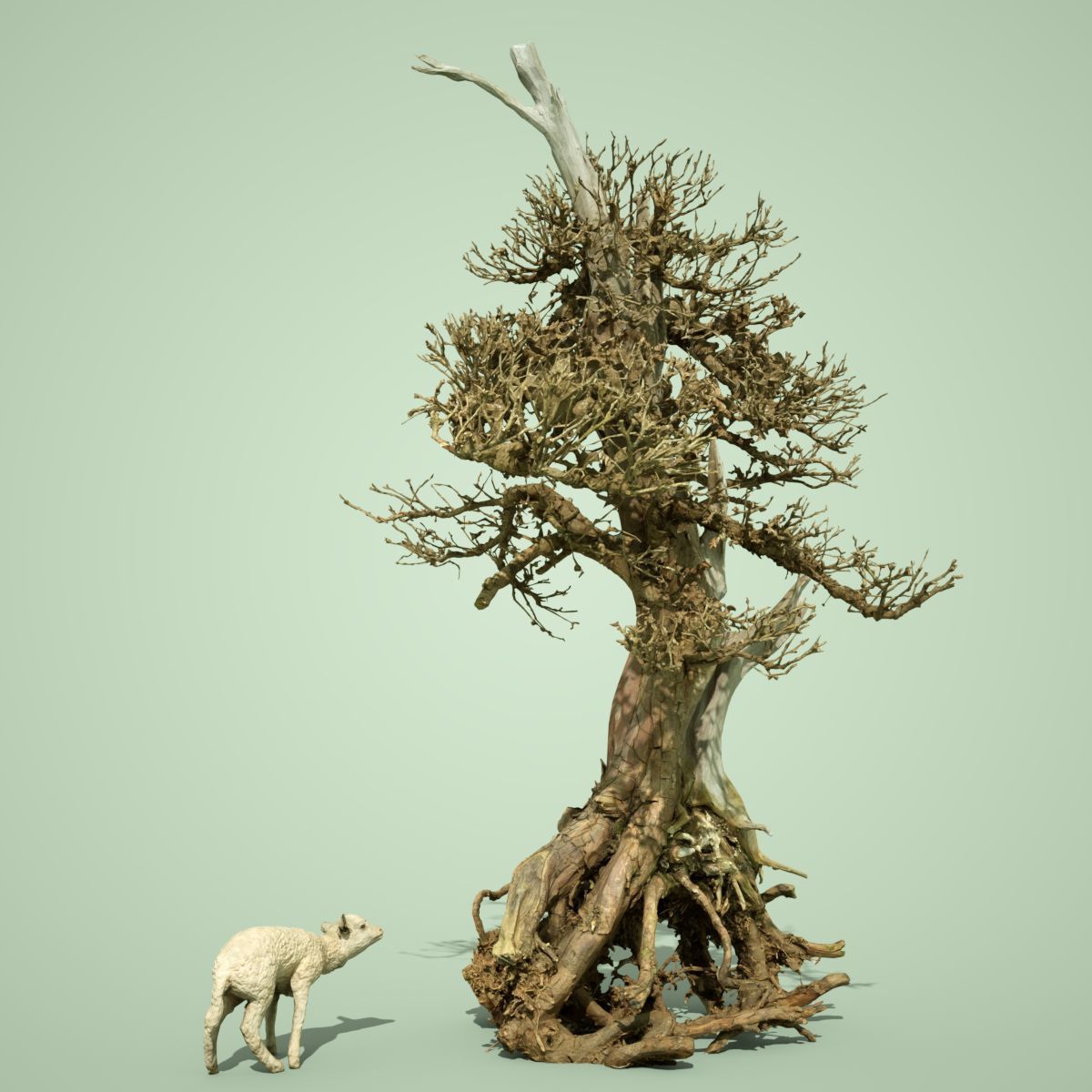 Dead Tree Collection Low-poly 3D model_6