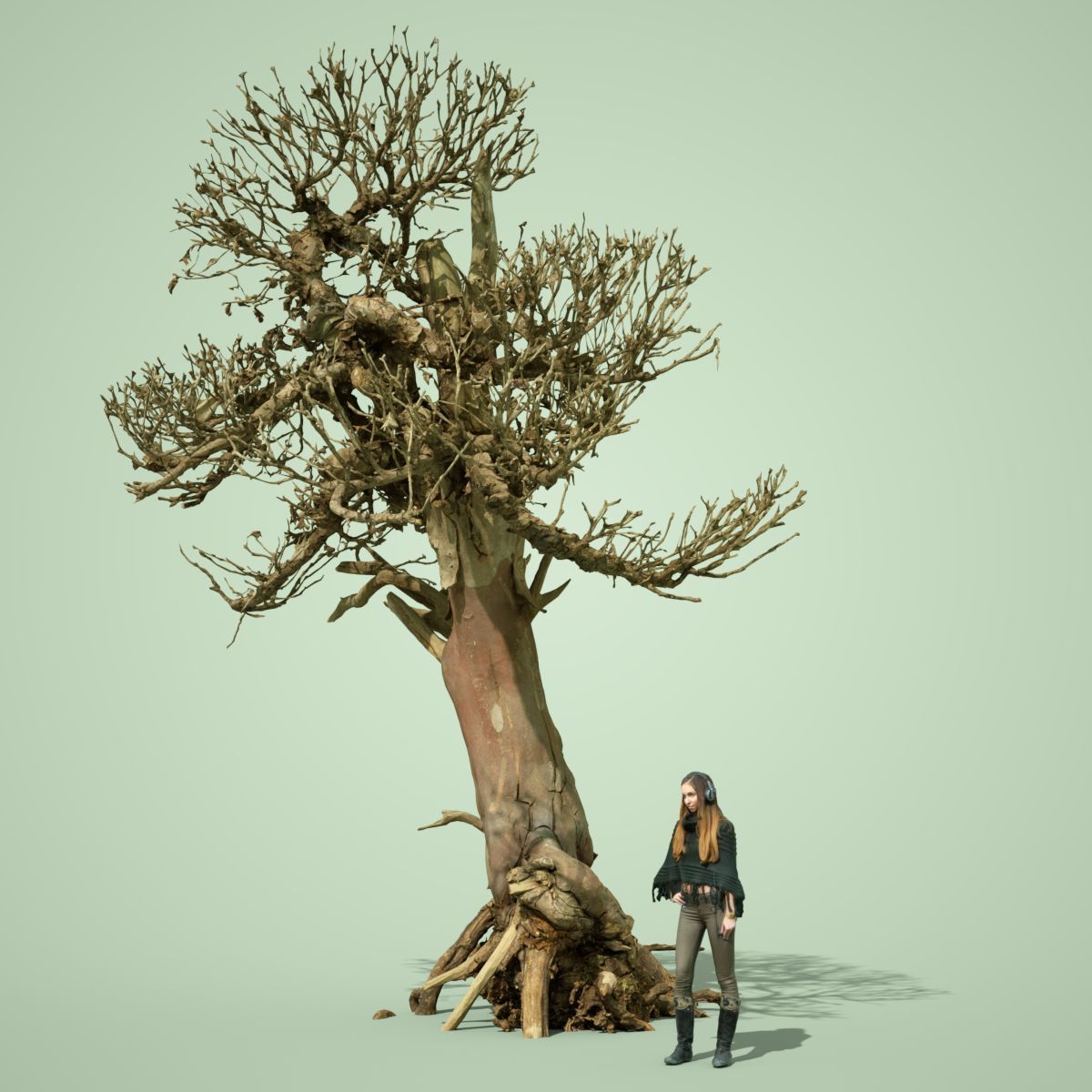 Dead Tree Collection Low-poly 3D model_31