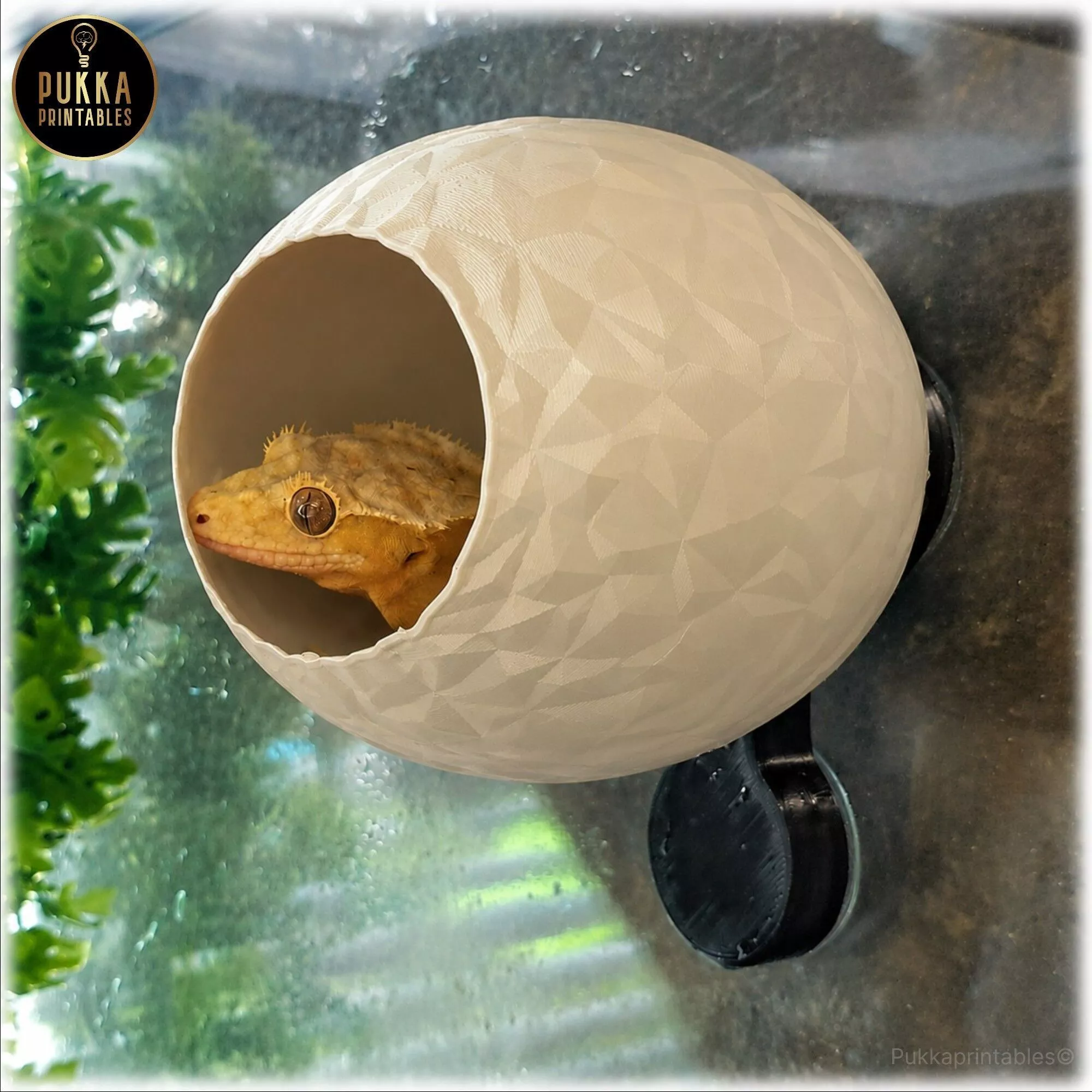 Dragon Egg Crested Gecko Hide STL Wall Mounted Reptile Hide 3D print model