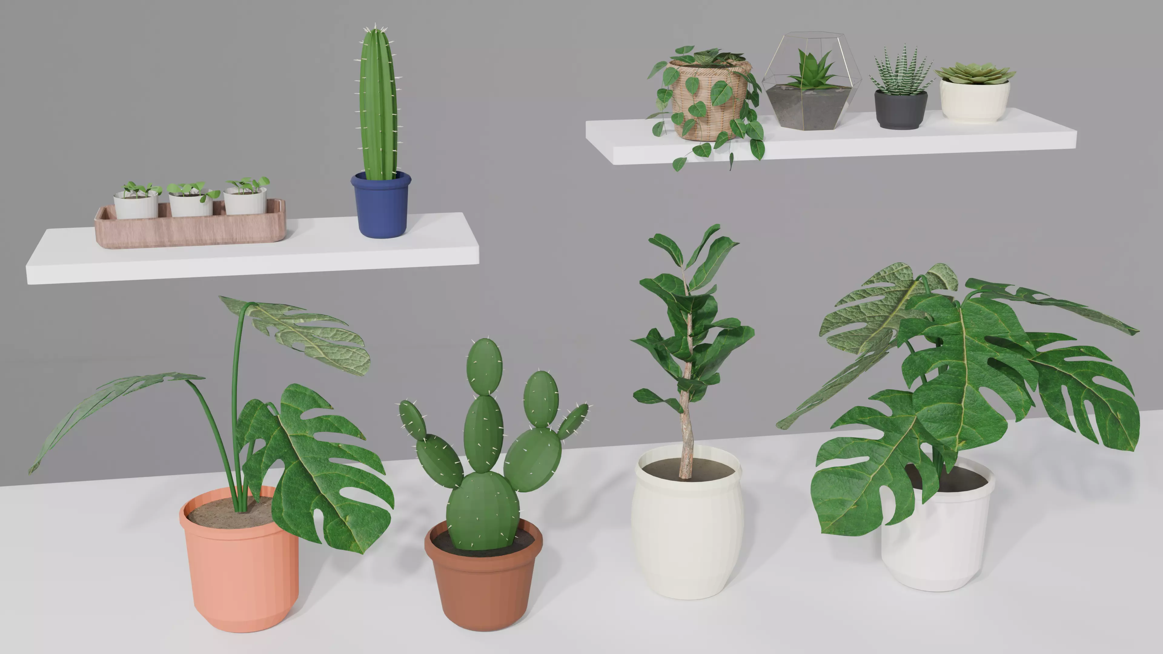 Modern Shelf Plants Pack - 10 Houseplants 3D model