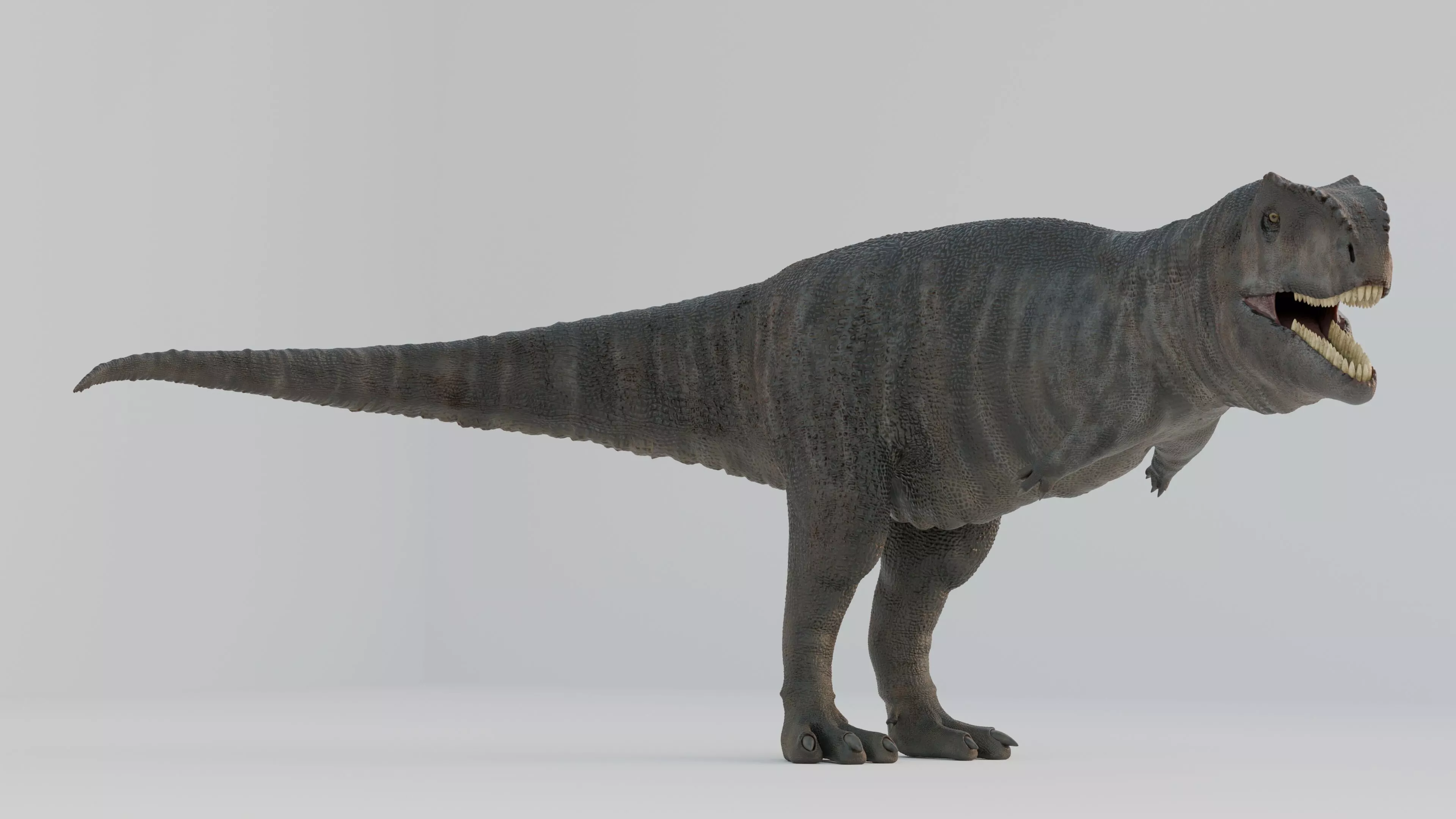 High-Quality Rigged Giganotosaurus 3D Model Low-poly 3D model
