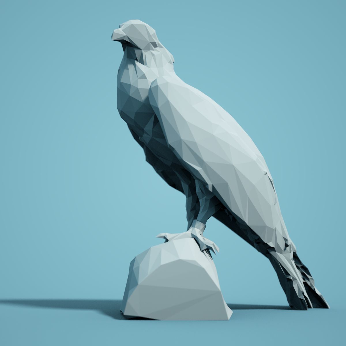 Bird Collection V1 Low Poly Models Low-poly 3D model_9
