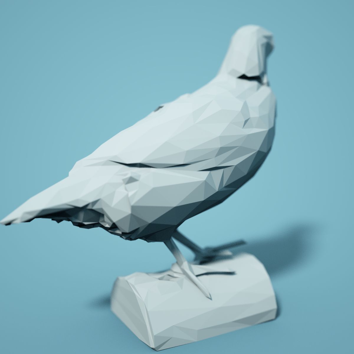 Bird Collection V1 Low Poly Models Low-poly 3D model_13