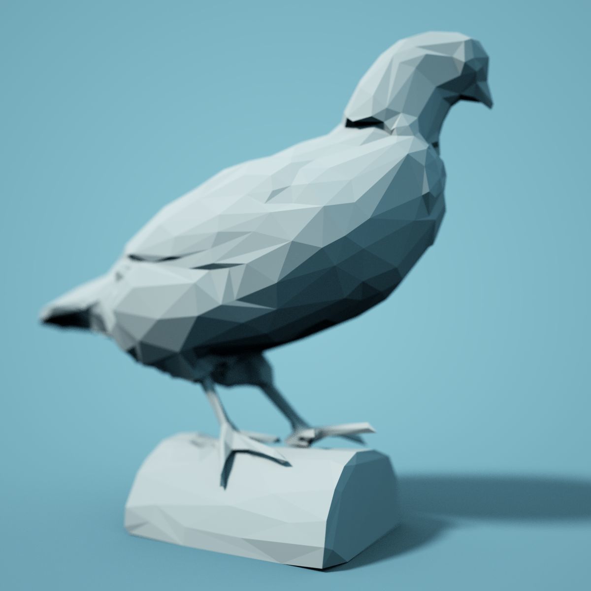 Bird Collection V1 Low Poly Models Low-poly 3D model_19