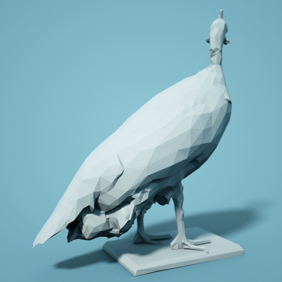 Bird Collection V1 Low Poly Models Low-poly 3D model_15