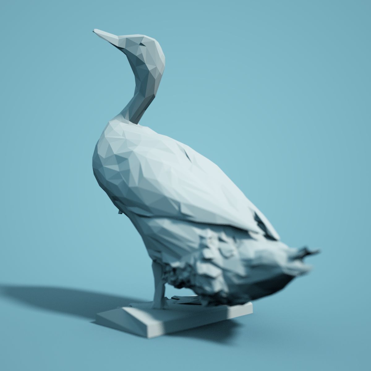 Bird Collection V1 Low Poly Models Low-poly 3D model_4