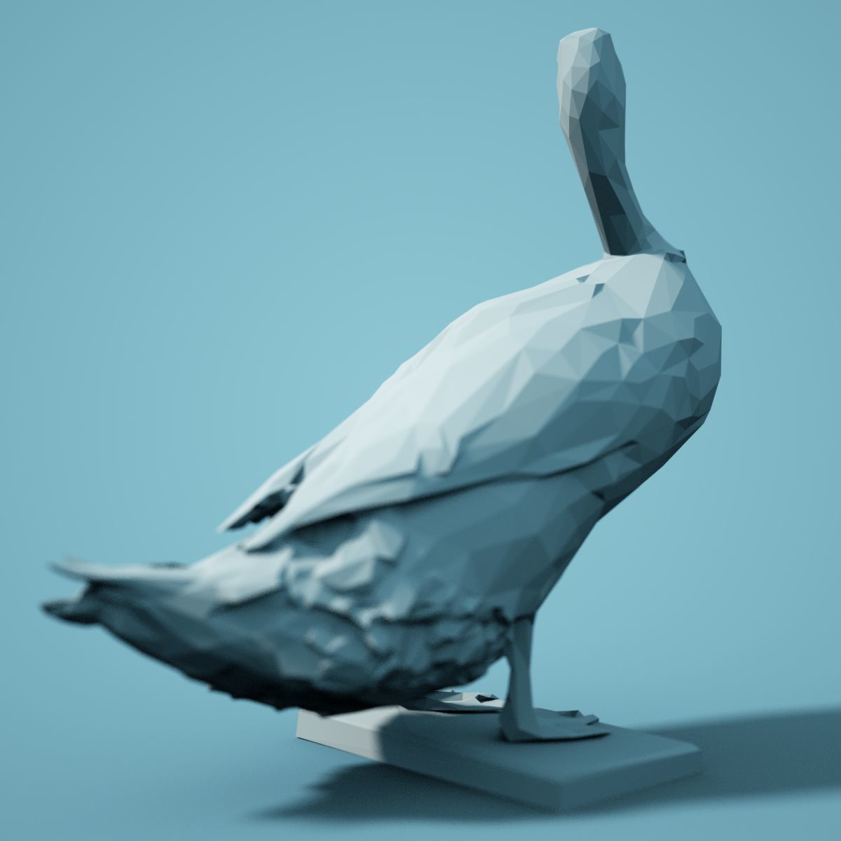 Bird Collection V1 Low Poly Models Low-poly 3D model_21