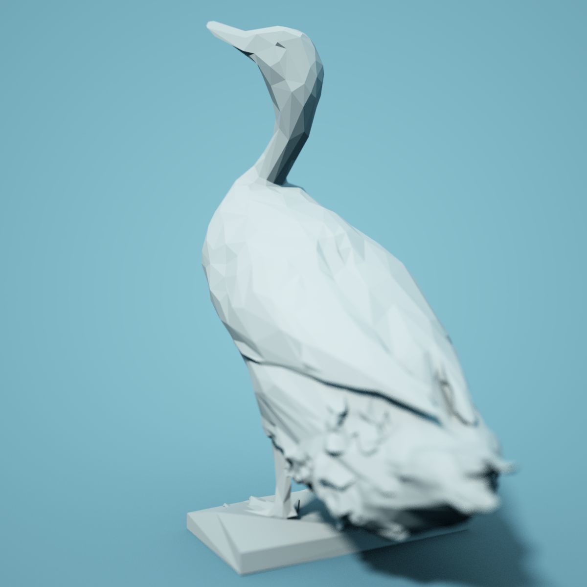 Bird Collection V1 Low Poly Models Low-poly 3D model_14