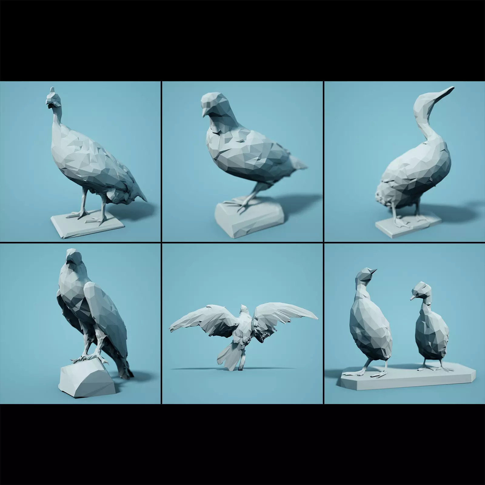 Bird Collection V1 Low Poly Models Low-poly 3D model_0