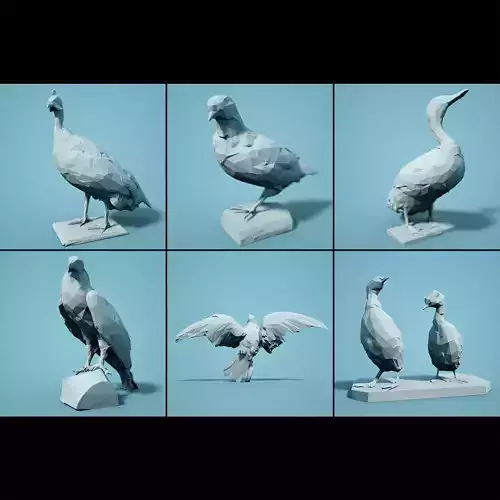 Bird Collection V1 Low Poly Models
