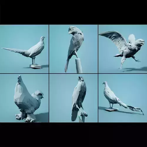 Bird Collection V2 Low Poly Models Low-poly 3D model