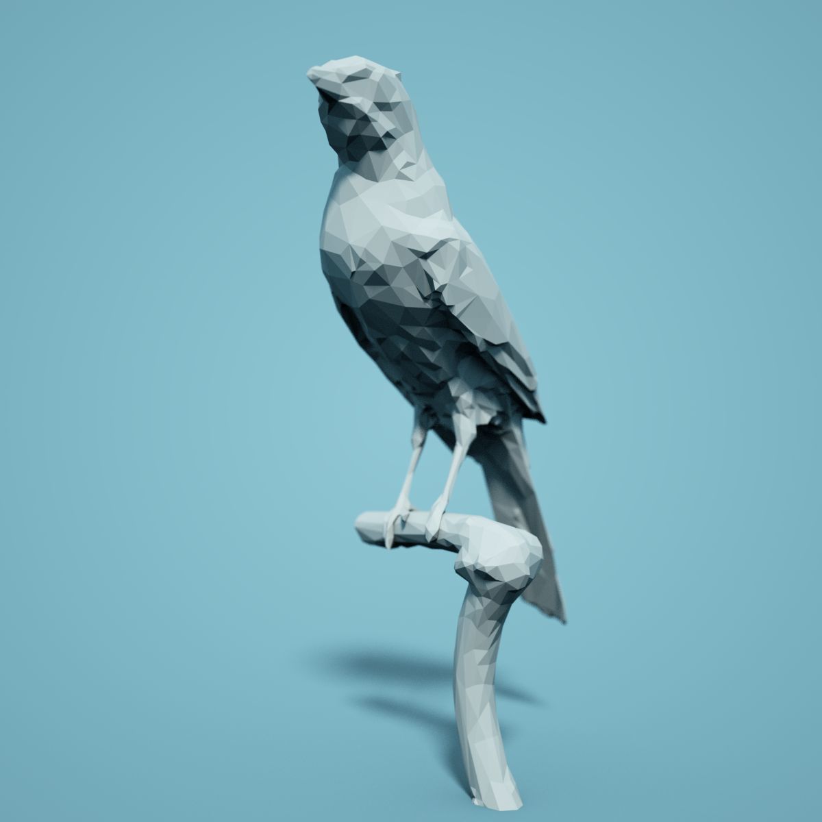 Bird Collection V3 Low Poly Models Low-poly 3D model_7