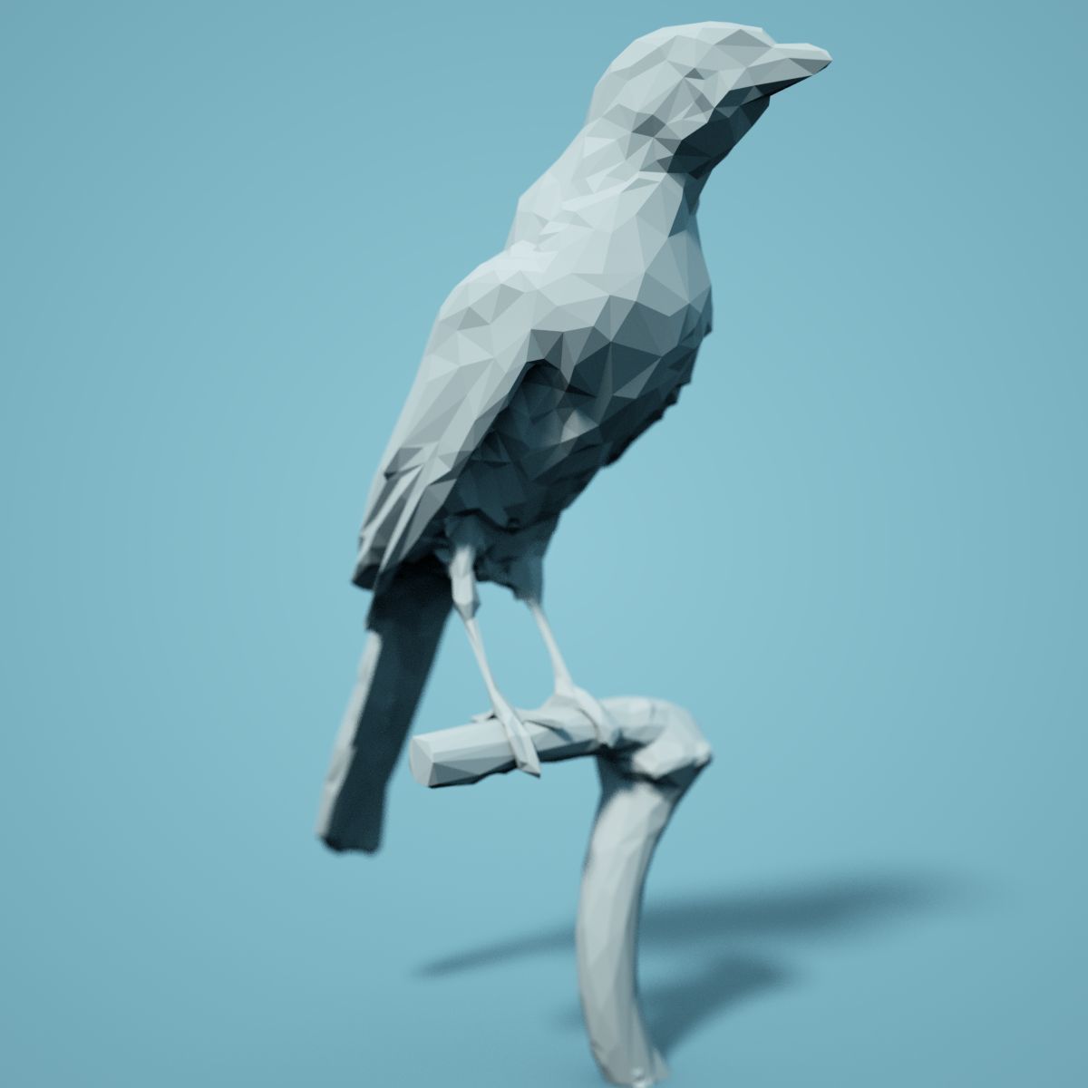 Bird Collection V3 Low Poly Models Low-poly 3D model_20