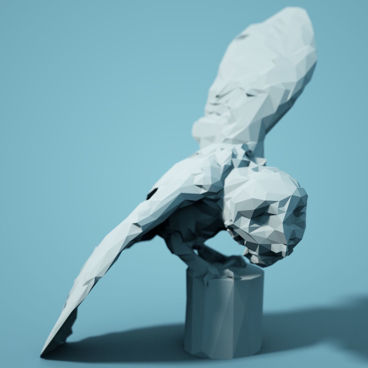 Bird Collection V3 Low Poly Models Low-poly 3D model_24