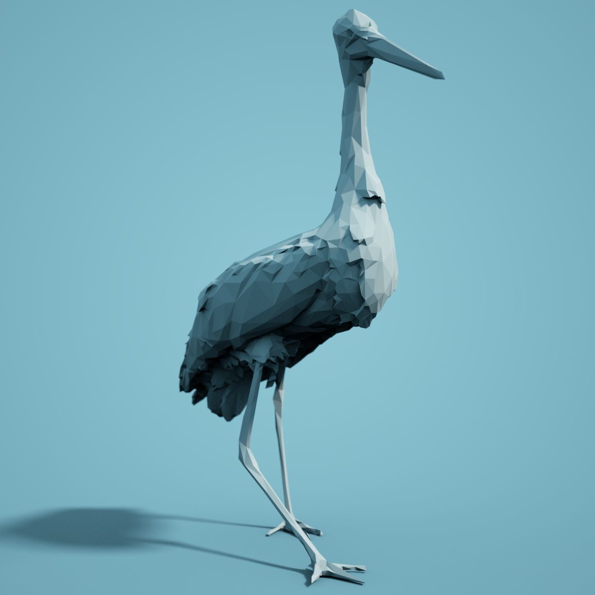 Bird Collection V3 Low Poly Models Low-poly 3D model_9