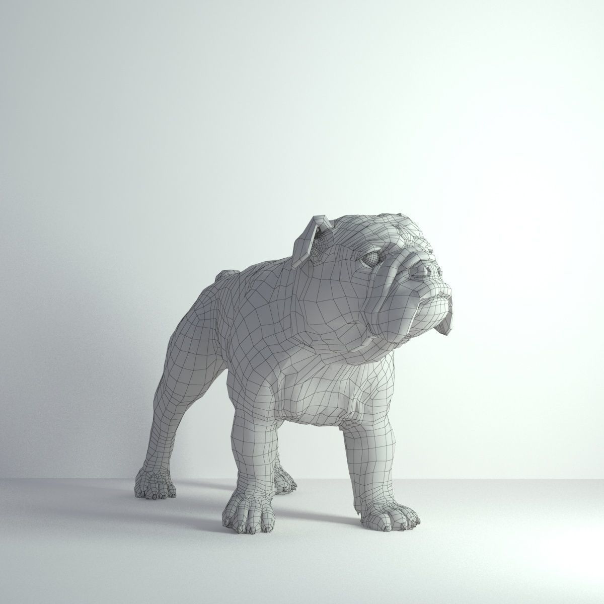 Bulldog - Low-poly 3D model_2