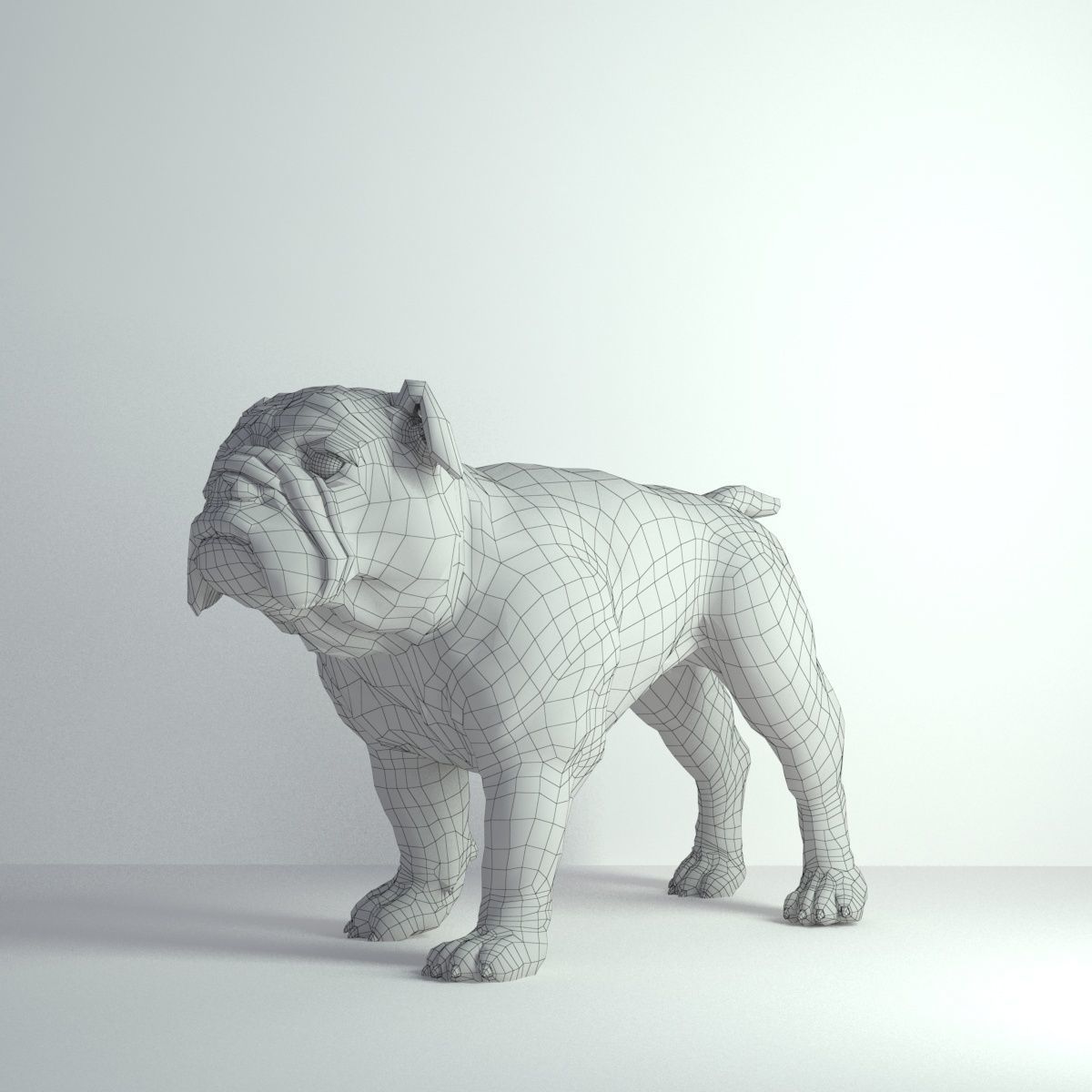 Bulldog - Low-poly 3D model_8
