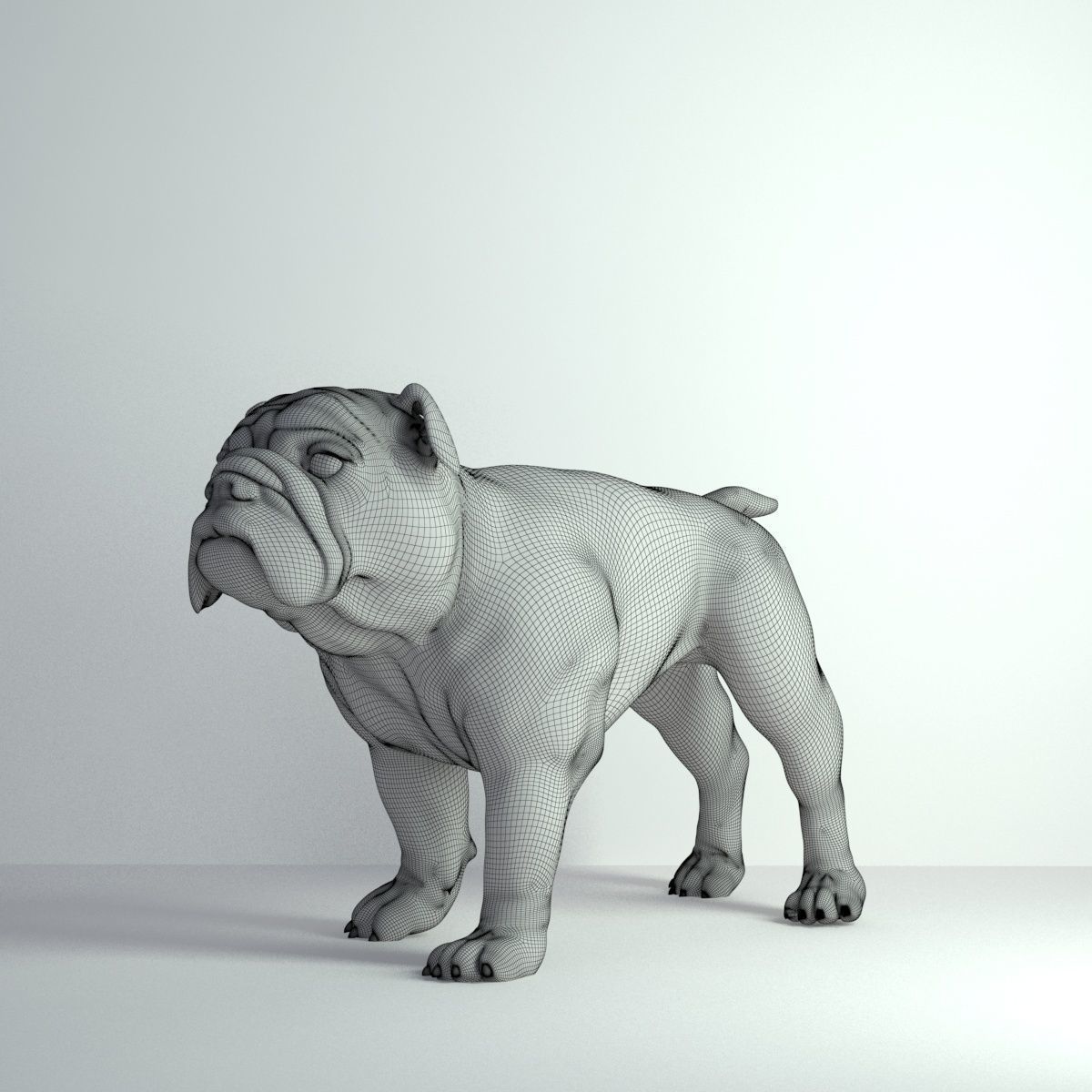 Bulldog - Low-poly 3D model_7