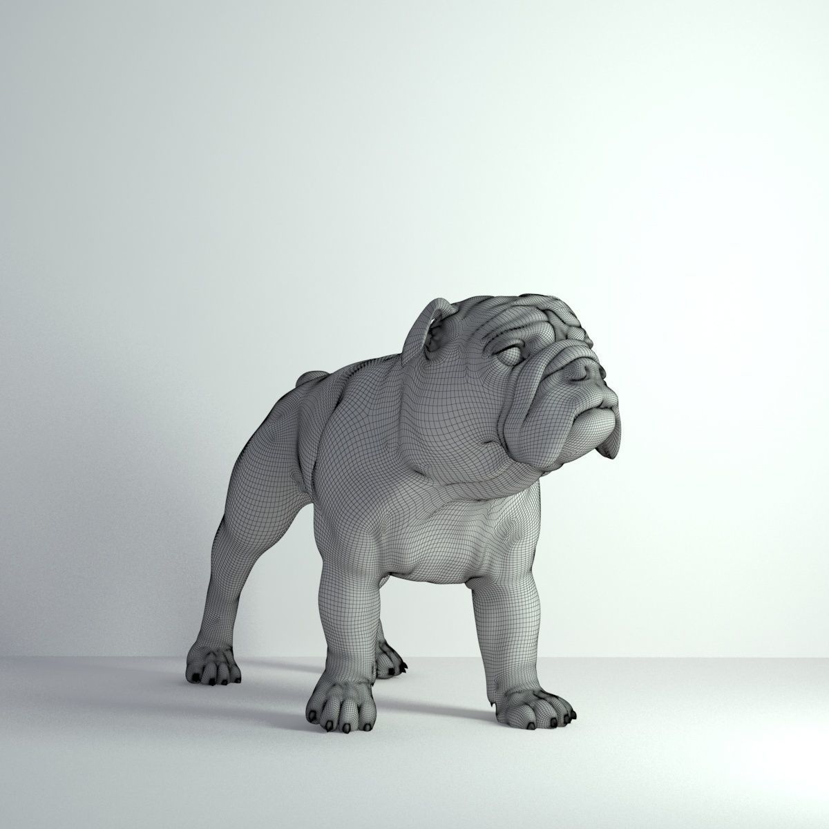 Bulldog - Low-poly 3D model_1