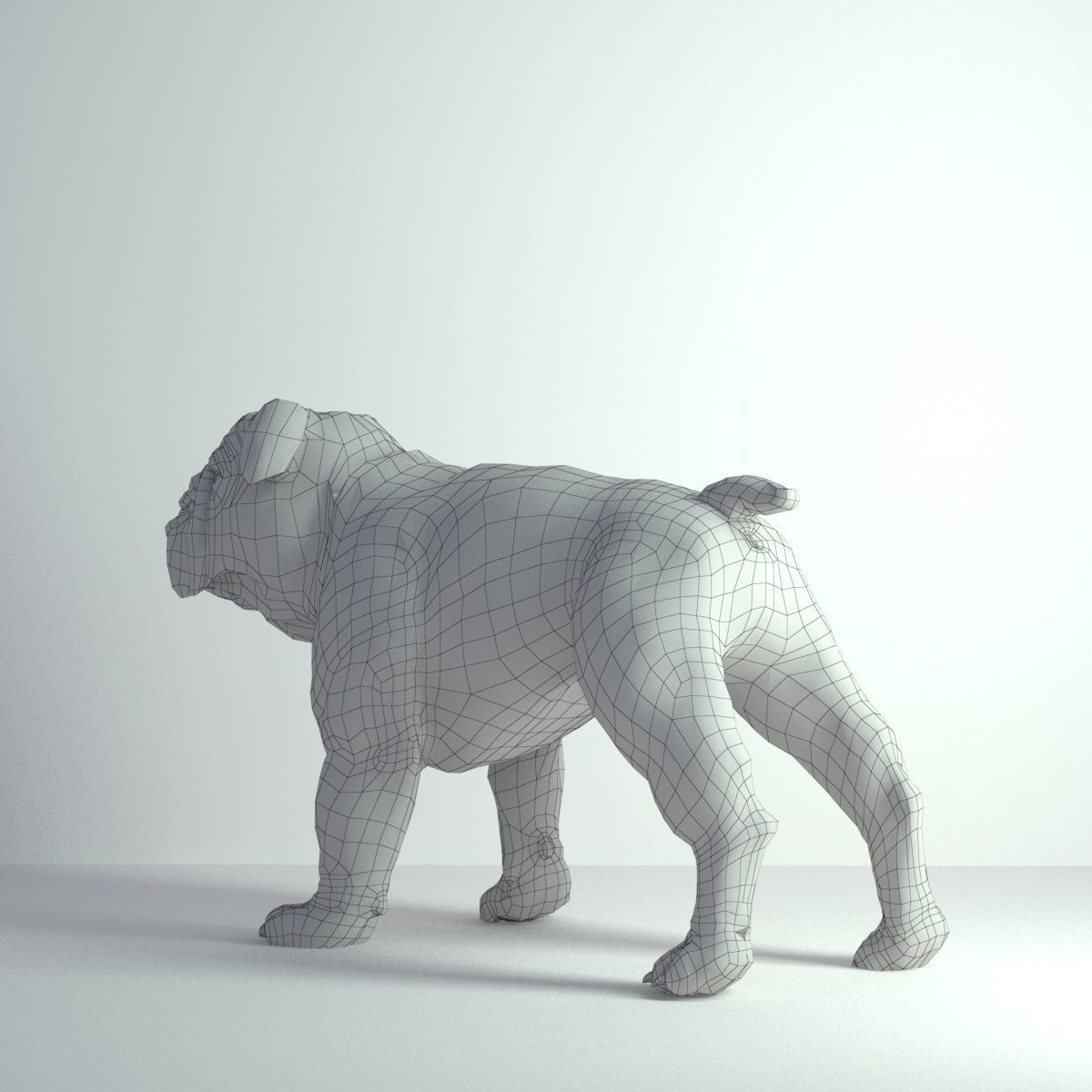 Bulldog - Low-poly 3D model_5