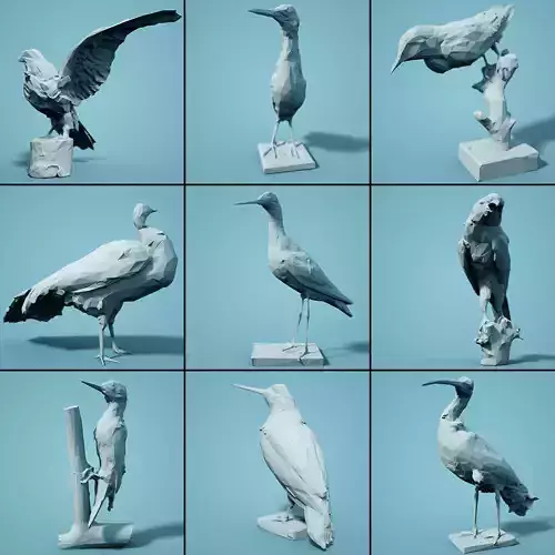 Bird Collection V4 Low Poly Models Low-poly 3D model