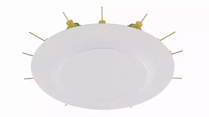Plate with Vegetables on Skewers 3D model 5