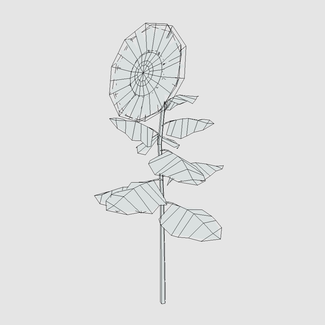Sunflower - Plants Flowers Low-poly 3D model_5