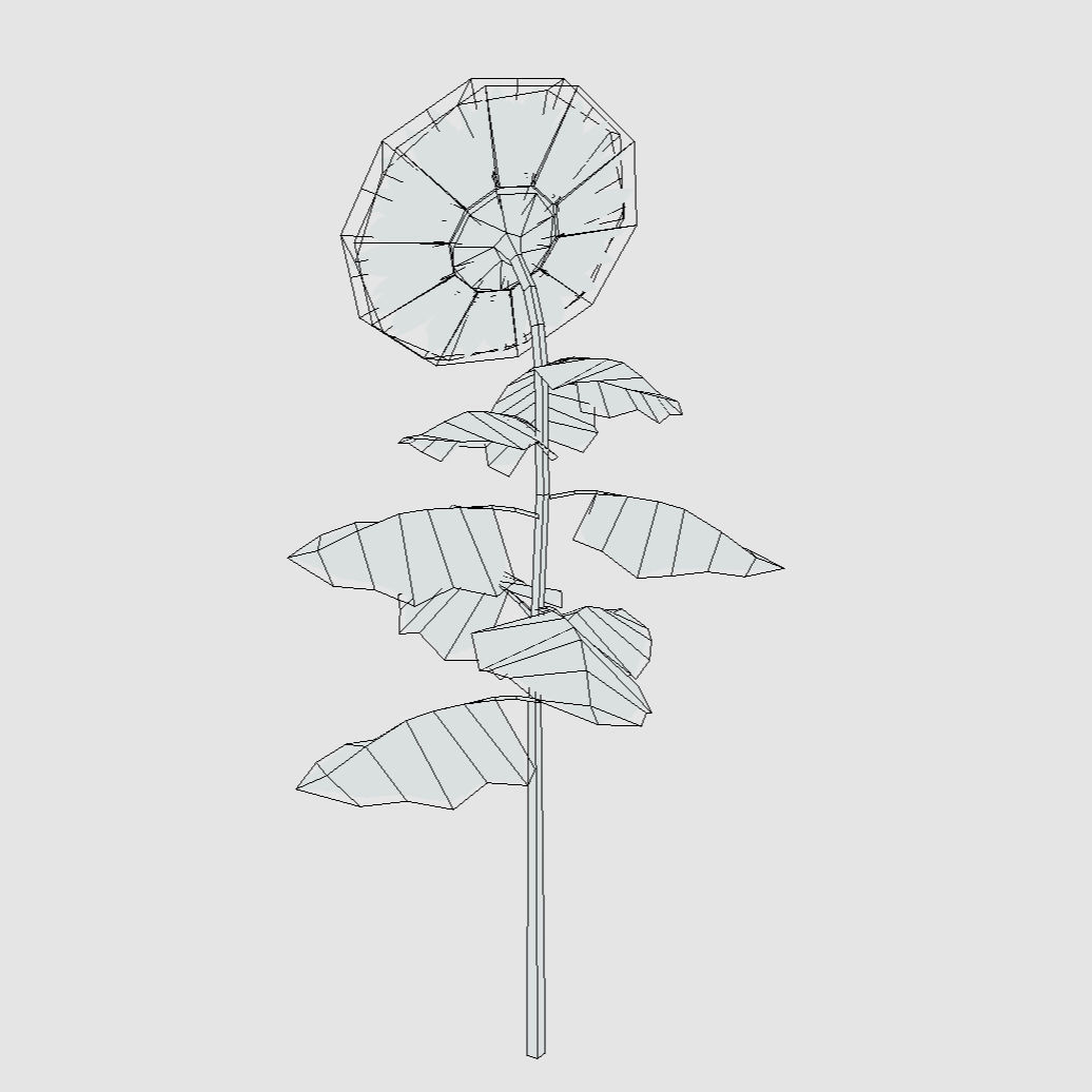 Sunflower - Plants Flowers Low-poly 3D model_6