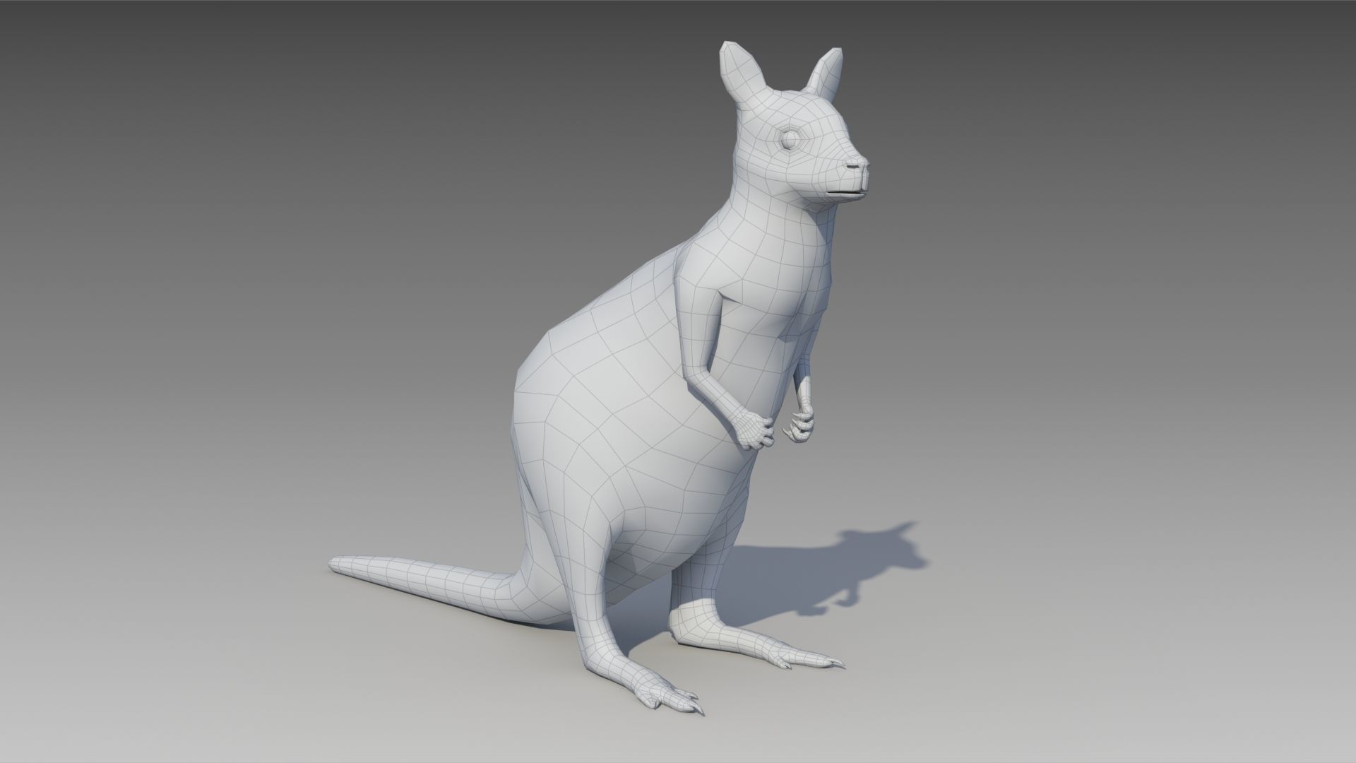 Wallaby kangaroo Low-poly 3D model_5