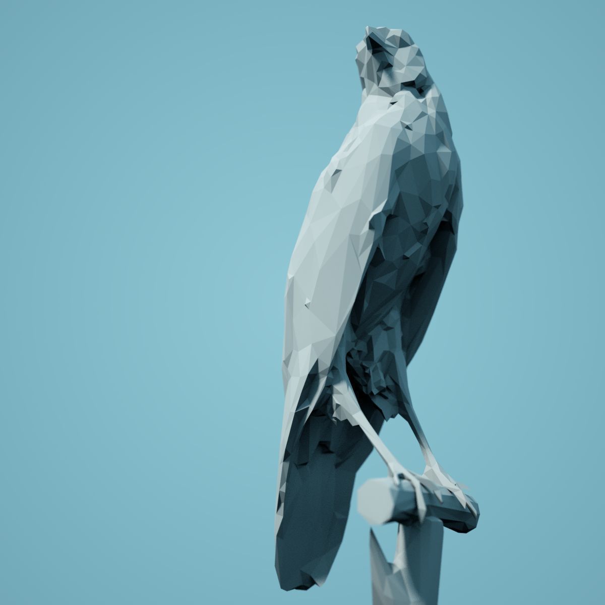 Low Poly bird Collection Low-poly 3D model_111