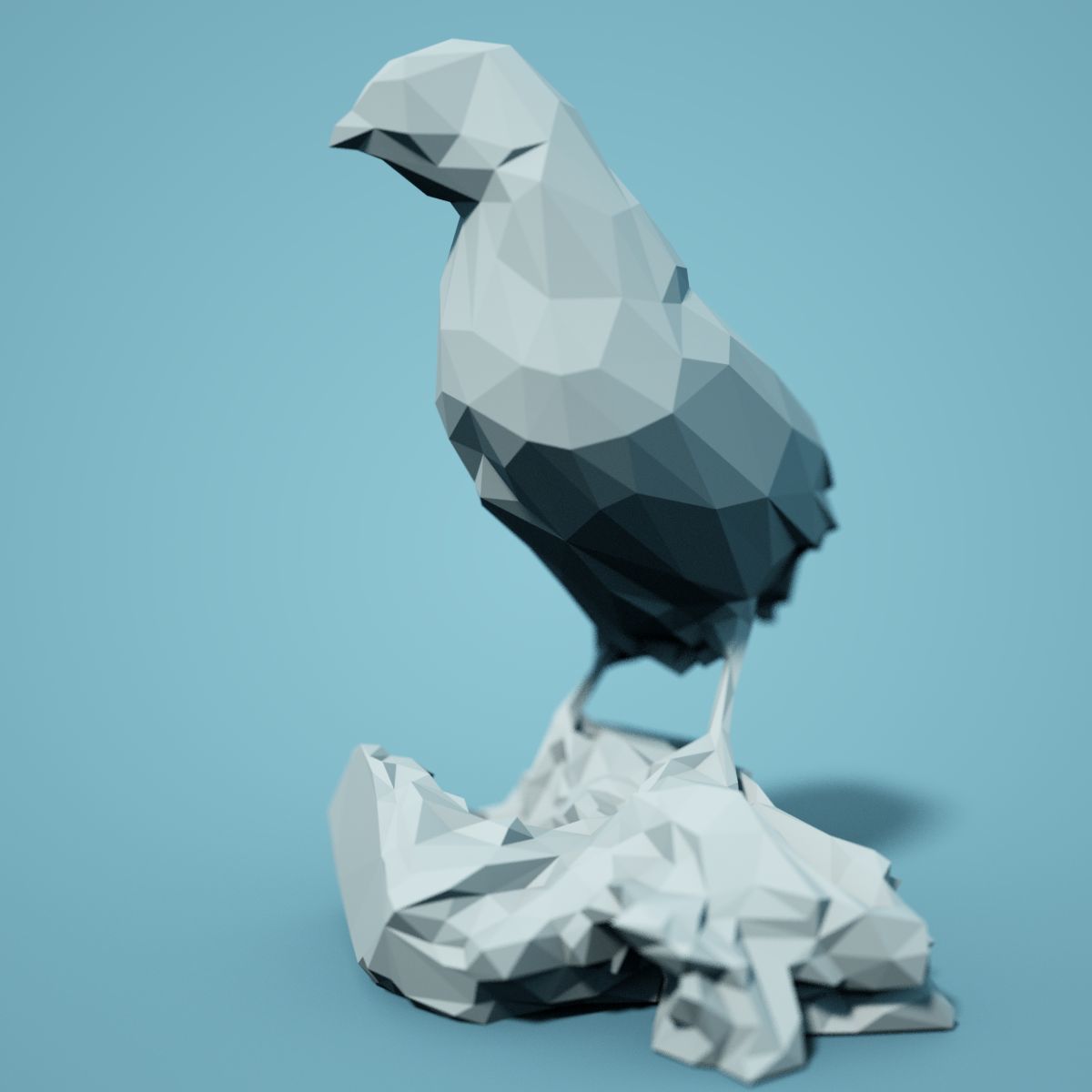 Low Poly bird Collection Low-poly 3D model_63