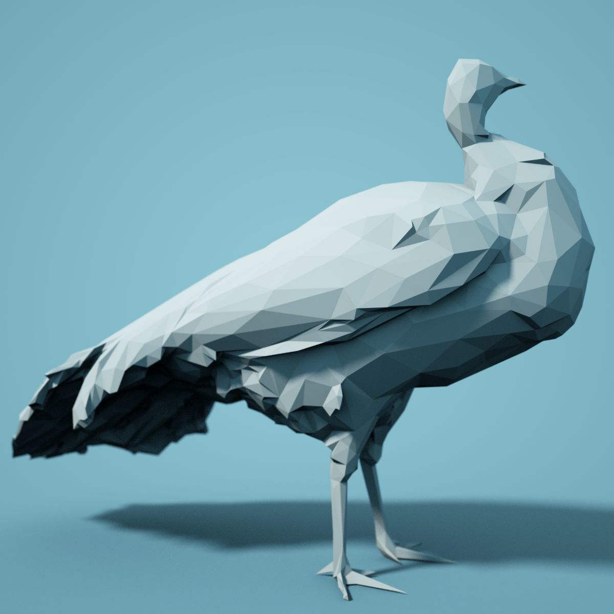Low Poly bird Collection Low-poly 3D model_41