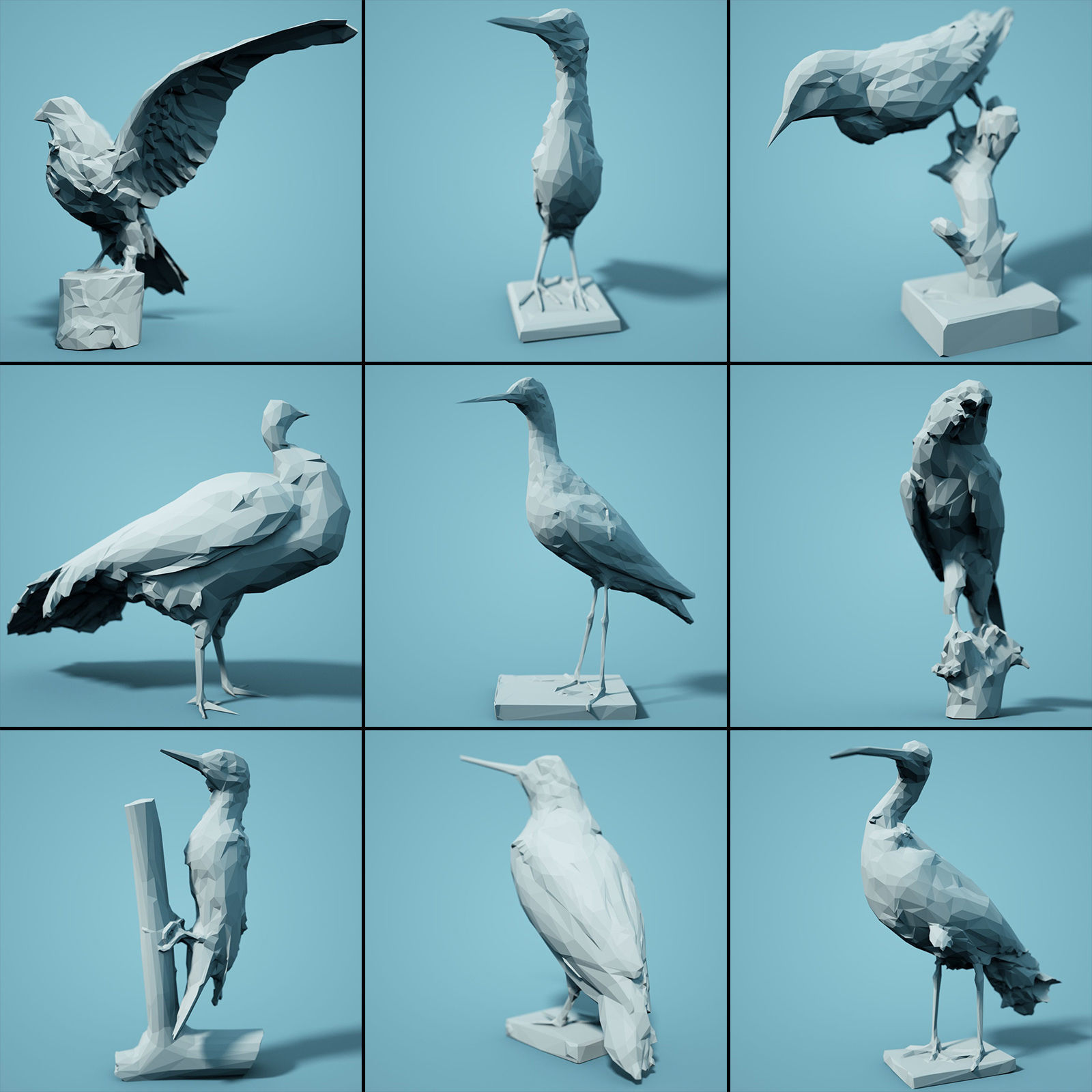 Low Poly bird Collection Low-poly 3D model_4