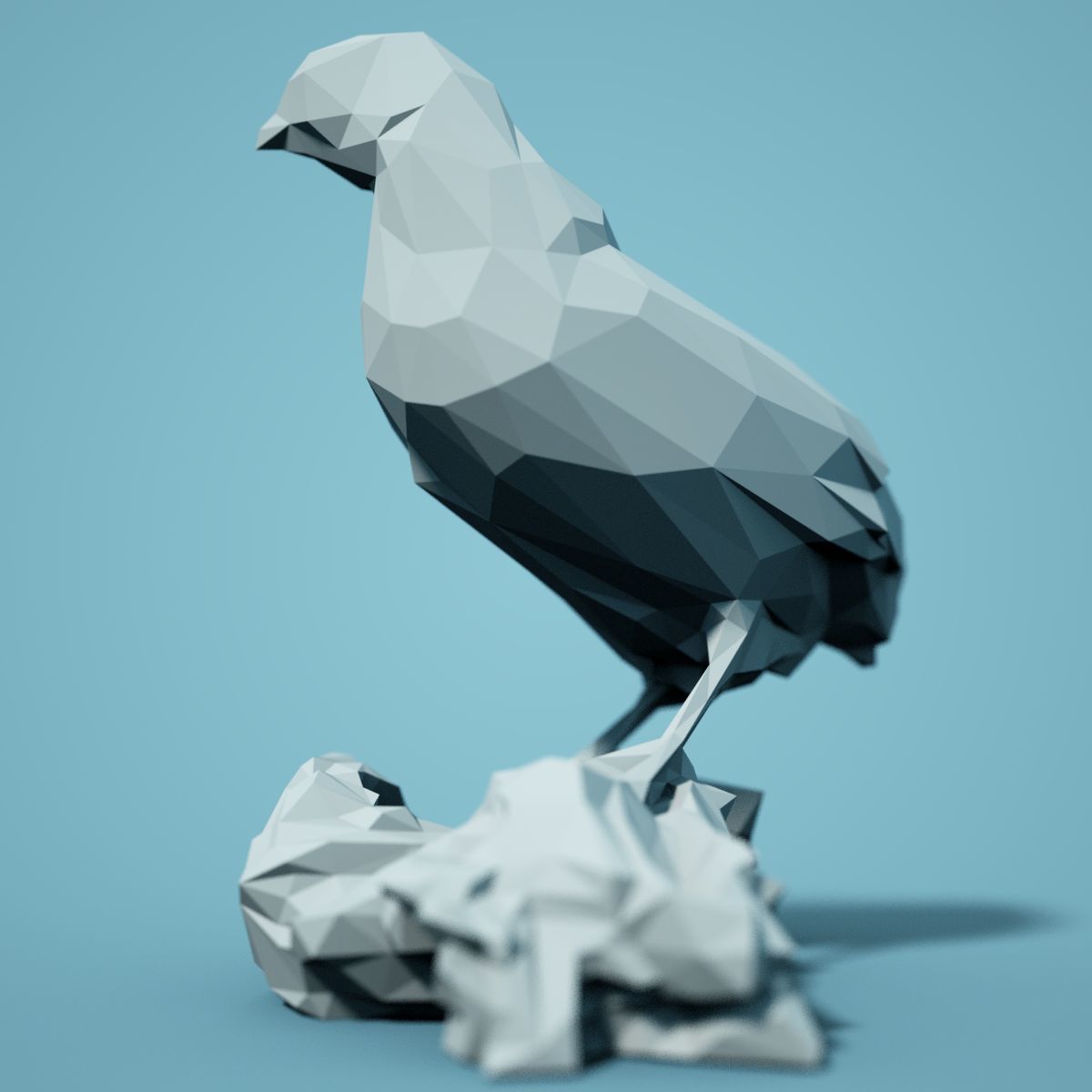 Low Poly bird Collection Low-poly 3D model_56