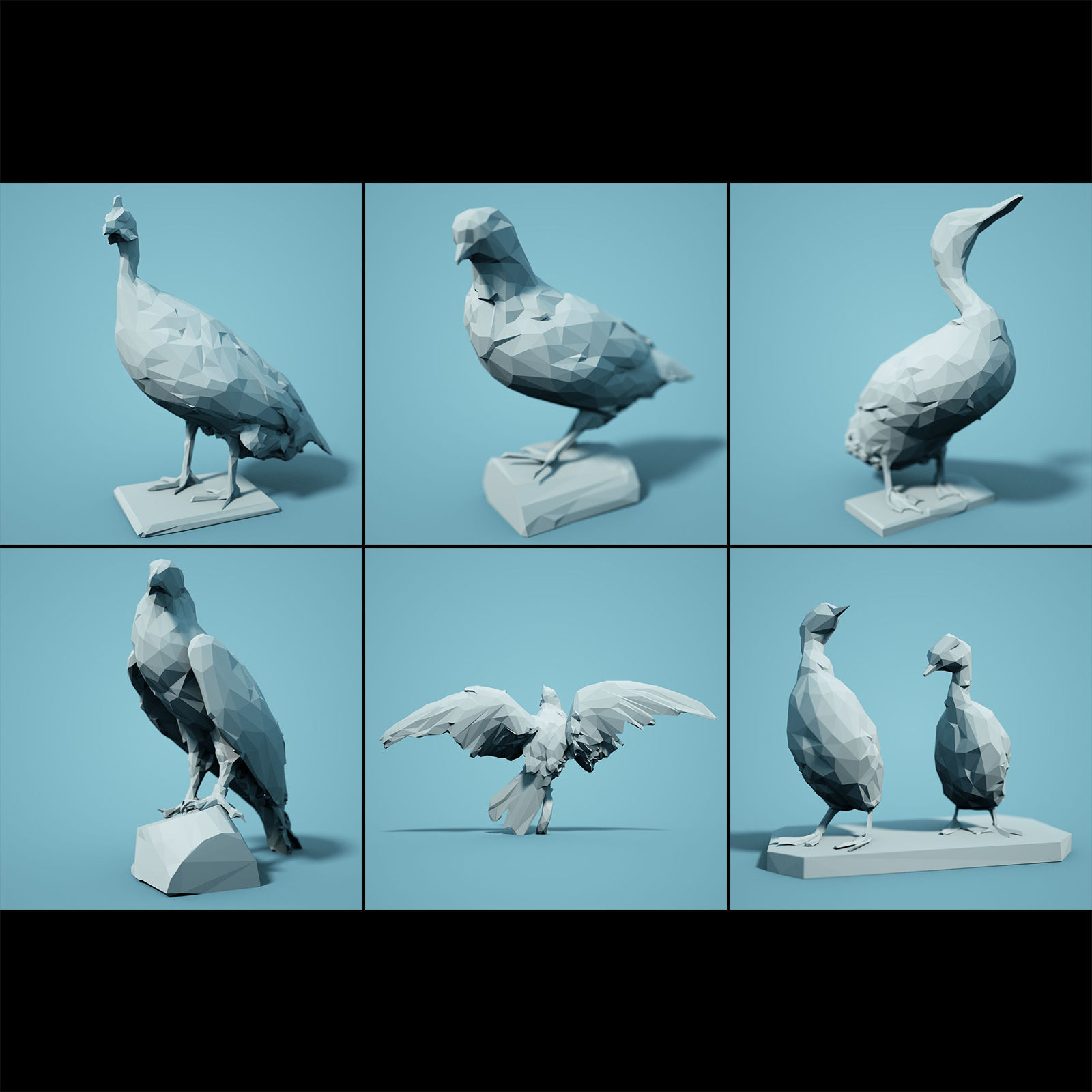 Low Poly bird Collection Low-poly 3D model_2
