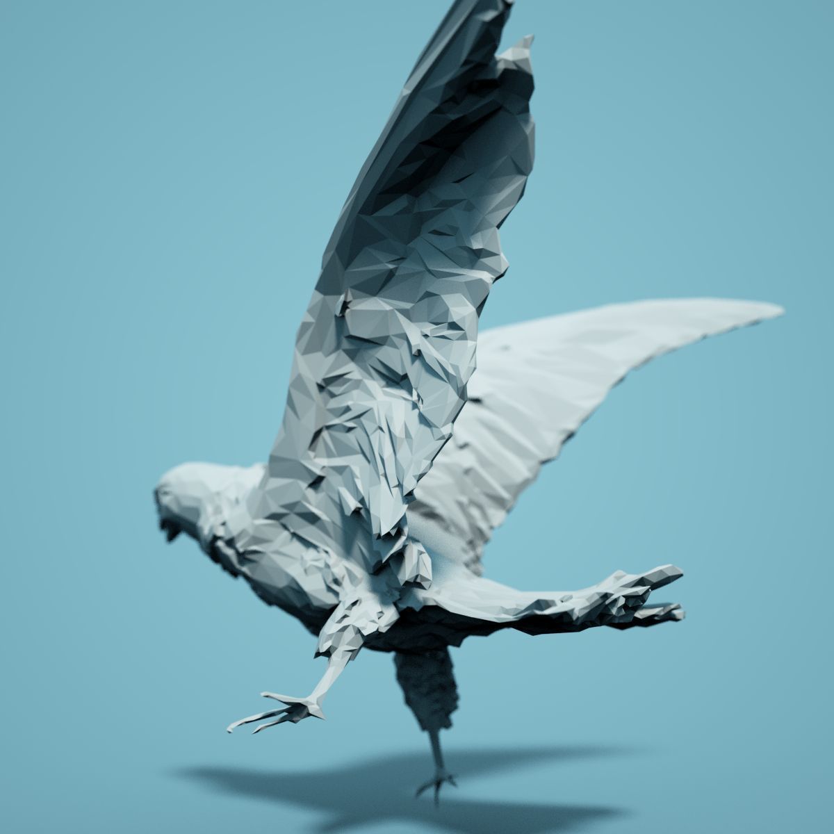 Low Poly bird Collection Low-poly 3D model_99