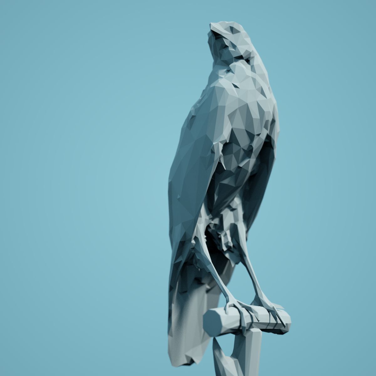 Low Poly bird Collection Low-poly 3D model_94